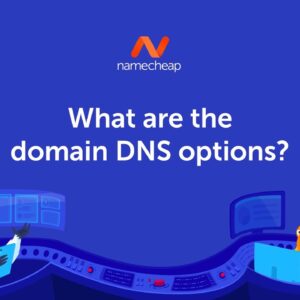 What are the domain DNS options?